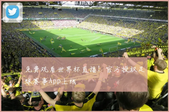 免费观看世界杯直播！官方授权足球赛事App上线