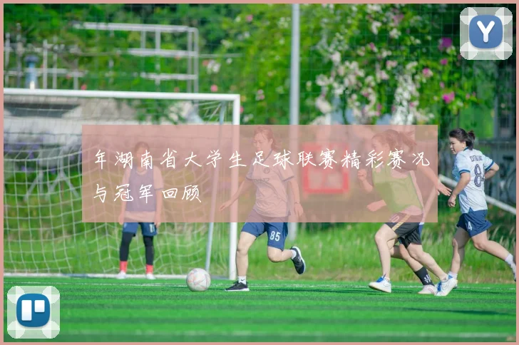 年湖南省大学生足球联赛精彩赛况与冠军回顾